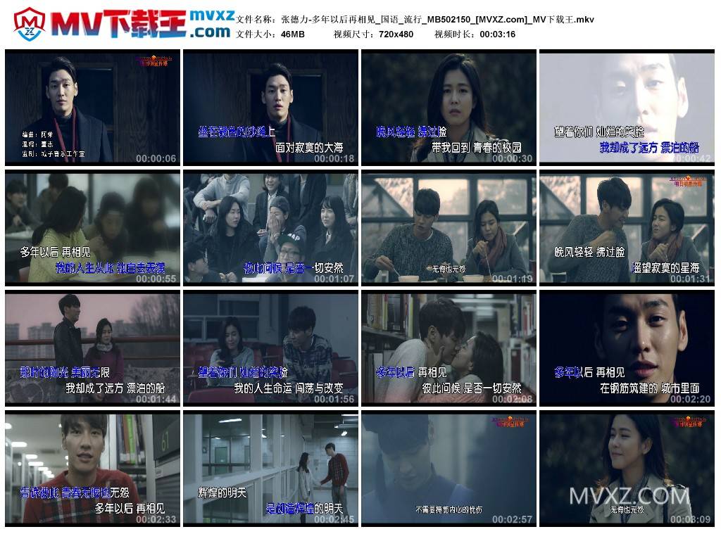 张德力-多年以后再相见_国语_流行_MB502150